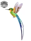 tatouage-ephemere-oiseau-du-paradis-tatouage-oiseau-temporaire tatouage-ephemere-oiseau-du-paradis-tatouage-oiseau-temporaire