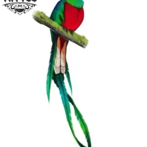 tatouage-ephemere-oiseau-exotique-temporain-peau tatouage-ephemere-oiseau-exotique-temporain-peau