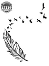 tatouage-ephemere-oiseau-plume-temporaire-tatouage-oiseau tatouage-ephemere-oiseau-plume-temporaire-tatouage-oiseau