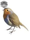 tatouage-oiseau-ephemere-design-realiste-peaux-sensibles tatouage-oiseau-ephemere-design-realiste-peaux-sensibles