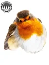 tatouage-ephemere-oiseau-rouge-tendance-realiste tatouage-ephemere-oiseau-rouge-tendance-realiste