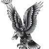 tatouage-ephemere-oiseau-traditionnel-design-authentique-tatouage-oiseau tatouage-ephemere-oiseau-traditionnel-design-authentique-tatouage-oiseau