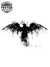 tatouage-aigle-ephemere-original-realiste-haute-qualite tatouage-aigle-ephemere-original-realiste-haute-qualite