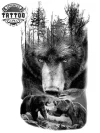 tatouage ARBRE éphémère ours design naturel tatouage ARBRE éphémère ours design naturel