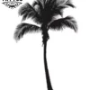 tatouage-ephemere-palmier-design-tropical tatouage-ephemere-palmier-design-tropical