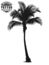 tatouage-ephemere-palmier-design-tropical tatouage-ephemere-palmier-design-tropical