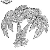 tatouage palmier mandala éphémère temporaire pour peau tatouage palmier mandala éphémère temporaire pour peau
