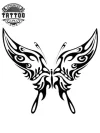 tatouage-ephemere-papillon-realiste-peau