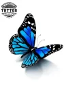 tatouage papillon éphémère 3d bleu effet réaliste tatouage papillon éphémère 3d bleu effet réaliste