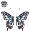 tatouage-ephemere-papillon-amitie-motif-symbolique-elegant tatouage-ephemere-papillon-amitie-motif-symbolique-elegant