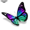 tatouage-ephemere-papillon-ombre-realiste tatouage-ephemere-papillon-ombre-realiste