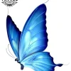 tatouage-ephemere-papillon-bleu-waterproof-durable-realiste tatouage-ephemere-papillon-bleu-waterproof-durable-realiste