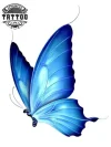 tatouage-ephemere-papillon-bleu-waterproof-durable-realiste tatouage-ephemere-papillon-bleu-waterproof-durable-realiste