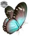 tatouage-ephemere-papillon-bleu-turquoise-longue-duree-waterproof tatouage-ephemere-papillon-bleu-turquoise-longue-duree-waterproof