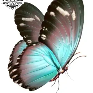 tatouage-ephemere-papillon-bleu-turquoise-longue-duree-waterproof tatouage-ephemere-papillon-bleu-turquoise-longue-duree-waterproof