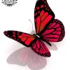 tatouage-ephemere-papillon-en-relief-realite-waterproof tatouage-ephemere-papillon-en-relief-realite-waterproof