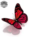 tatouage-ephemere-papillon-en-relief-realite-waterproof tatouage-ephemere-papillon-en-relief-realite-waterproof