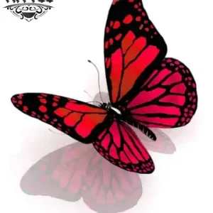 tatouage-ephemere-papillon-en-relief-realite-waterproof tatouage-ephemere-papillon-en-relief-realite-waterproof