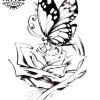 tatouage-ephemere-papillon-fleur-design-raffine-naturel tatouage-ephemere-papillon-fleur-design-raffine-naturel