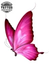 tatouage-ephemere-papillon-girly-temporaire-elegant tatouage-ephemere-papillon-girly-temporaire-elegant