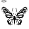tatouage-ephemere-papillon-graphique-design-moderne tatouage-ephemere-papillon-graphique-design-moderne