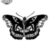 tatouage_ephemere_papillon_harry_styles_style_pop_rock tatouage_ephemere_papillon_harry_styles_style_pop_rock