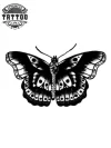 tatouage_ephemere_papillon_harry_styles_style_pop_rock tatouage_ephemere_papillon_harry_styles_style_pop_rock