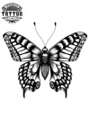 tatouage papillon éphémère noir gris temporaire waterproof