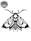 tatouage-ephémère-papillon-de-nuit-réaliste-waterproof tatouage-ephémère-papillon-de-nuit-réaliste-waterproof