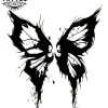 tatouage-ephemere-papillon-original-unique tatouage-ephemere-papillon-original-unique