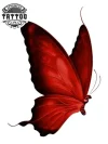 tatouage-ephemere-papillon-rouge-design-realiste