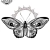 tatouage-ephemere-papillon-aux-yeux-envoutants-image-alt tatouage-ephemere-papillon-aux-yeux-envoutants-image-alt