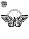 tatouage-ephemere-papillon-aux-yeux-envoutants-image-alt tatouage-ephemere-papillon-aux-yeux-envoutants-image-alt