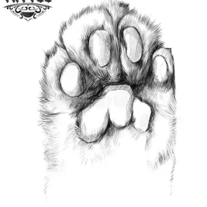 tatouage CHIEN ephemere patte de chien realiste peau tatouage CHIEN ephemere patte de chien realiste peau