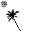 tatouage-ephemere-petit-palmier-design-tropical-tatouage-palmier