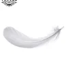 tatouage-ephemere-plume-ange-design-aerien-et-mystique tatouage-ephemere-plume-ange-design-aerien-et-mystique