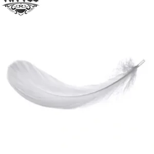 tatouage-ephemere-plume-ange-design-aerien-et-mystique tatouage-ephemere-plume-ange-design-aerien-et-mystique