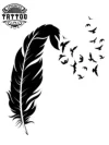 tatouage_plume_ephemere_corbeau_unique_stylise