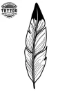 tatouage-ephemere-plume-aigle-design-tatouage-plume