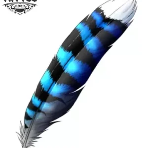 tatouage-ephemere-plume-geai-bleu-design-unique-elegant tatouage-ephemere-plume-geai-bleu-design-unique-elegant