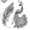 tatouage-plume-ephemere-paon-design-elegant-original tatouage-plume-ephemere-paon-design-elegant-original