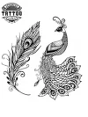 tatouage-plume-ephemere-paon-design-elegant-original tatouage-plume-ephemere-paon-design-elegant-original