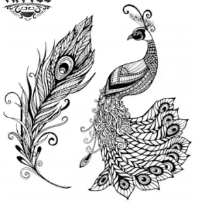 tatouage-plume-ephemere-paon-design-elegant-original tatouage-plume-ephemere-paon-design-elegant-original