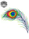tatouage-ephemere-plume-de-paon-graphique-tatouage-plume-tendance