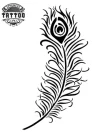 tatouage-ephemere-plume-de-paon-noir-et-blanc-style-tatouage-plume tatouage-ephemere-plume-de-paon-noir-et-blanc-style-tatouage-plume