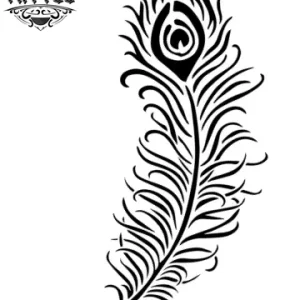 tatouage-ephemere-plume-de-paon-noir-et-blanc-style-tatouage-plume tatouage-ephemere-plume-de-paon-noir-et-blanc-style-tatouage-plume