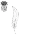 tatouage-plume-ephemere-femme-elegante tatouage-plume-ephemere-femme-elegante
