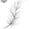 tatouage-ephemere-plume-fine-decoration-temporaire-tatouage-plume