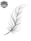 tatouage-ephemere-plume-fine-decoration-temporaire-tatouage-plume