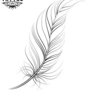 tatouage-ephemere-plume-fine-decoration-temporaire-tatouage-plume tatouage-ephemere-plume-fine-decoration-temporaire-tatouage-plume